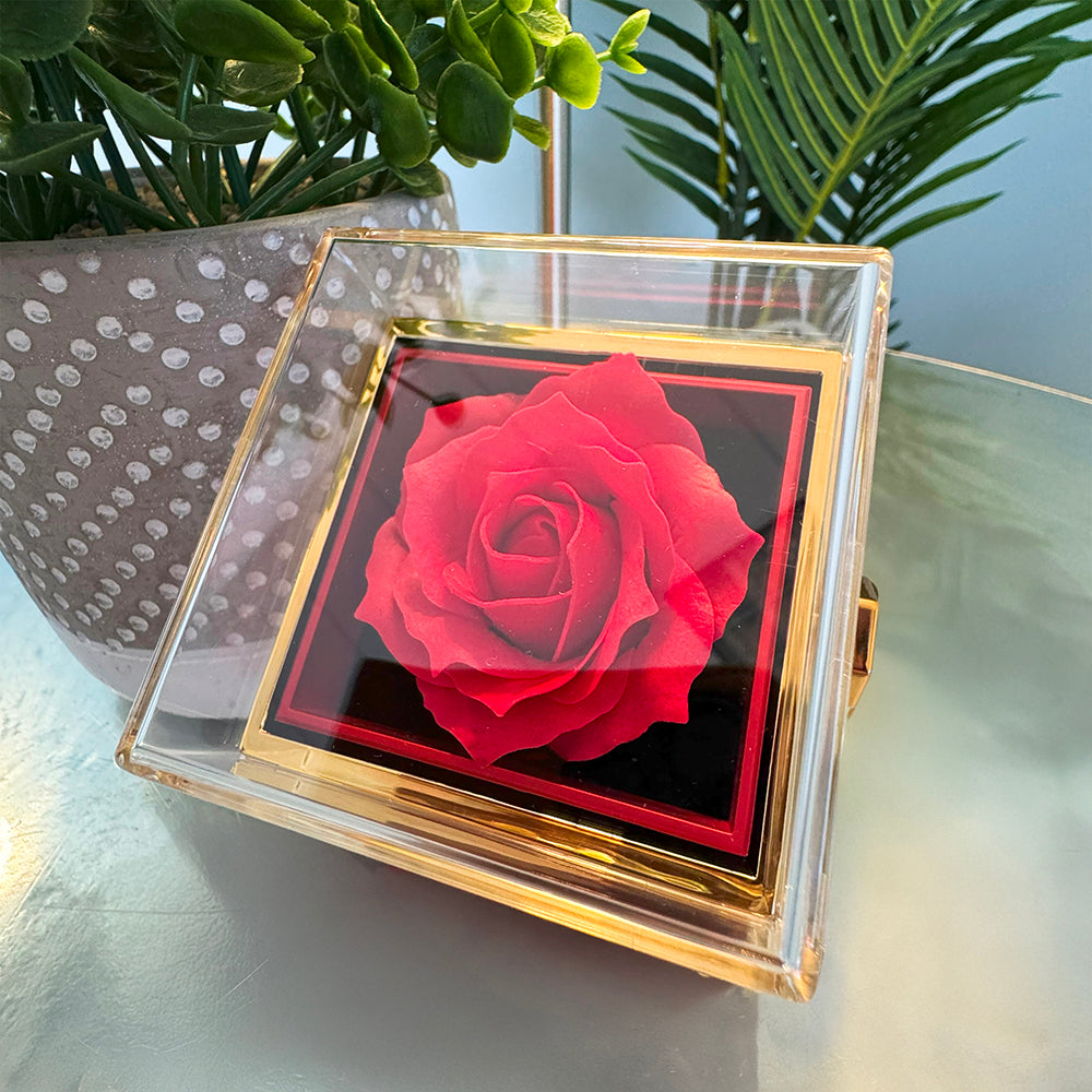 To My Beautiful Wife - Love Knot with Rotating Rose Gift Box - INCLUDES FREE SHIPPING