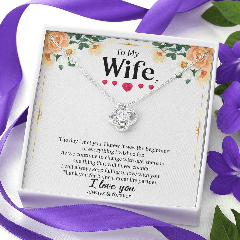 Wife - The Day I Met You