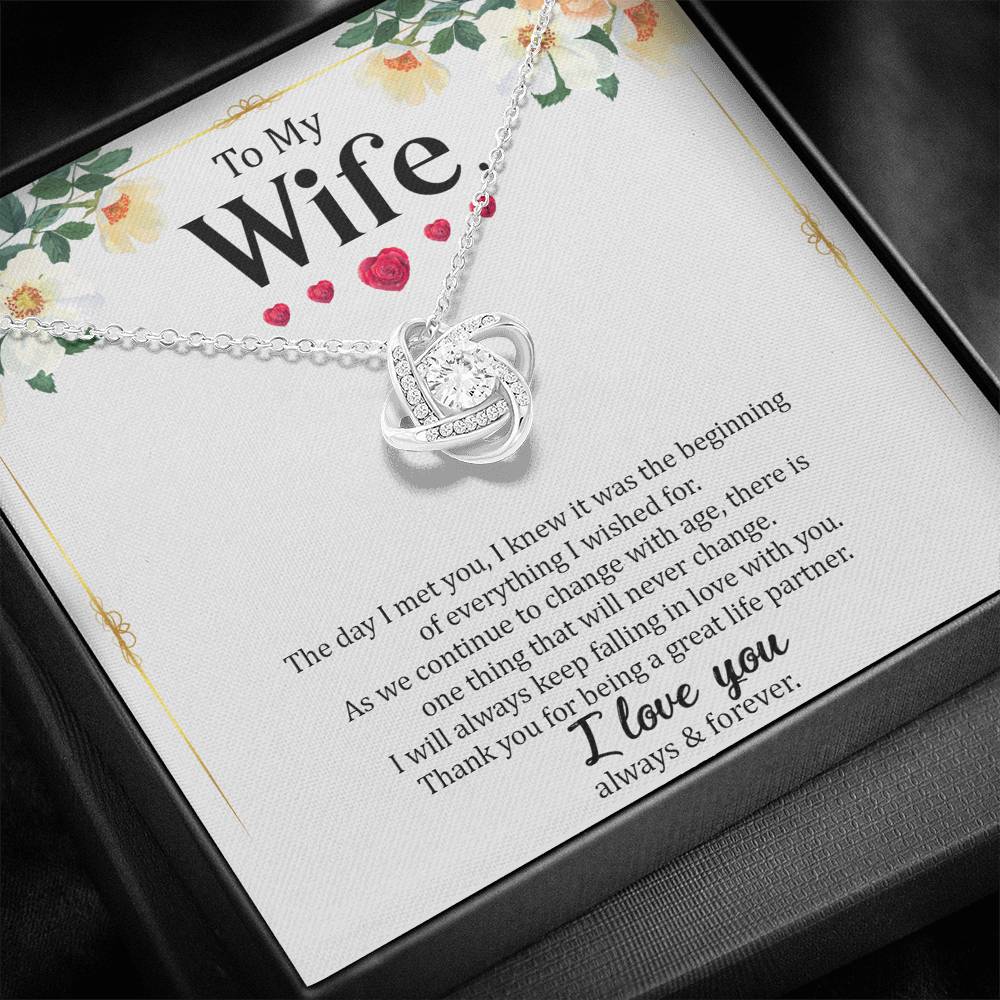 Wife - The Day I Met You